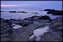 Tidepools, sunset, Weston Beach. Point Lobos State Preserve, California, USA