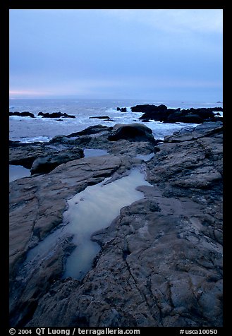Tidal pools, sunset, Weston Beach. Point Lobos State Preserve, California, USA (color)
