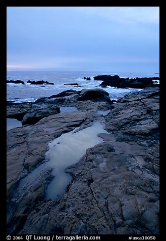 Tidal pools, sunset, Weston Beach. Point Lobos State Preserve, California, USA