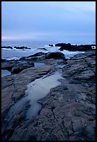 Tidal pools, sunset, Weston Beach. Point Lobos State Preserve, California, USA (color)