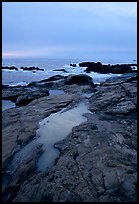 Tidal pools, sunset, Weston Beach. Point Lobos State Preserve, California, USA ( color)