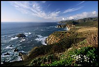 Coastline and Bixby creek bridge, late afternoon. Big Sur, California, USA ( color)