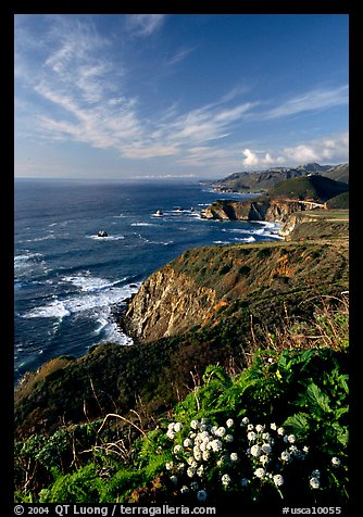 Coastline and Bixby creek bridge, late afternoon. Big Sur, California, USA