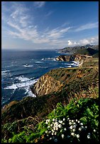 Coastline and Bixby creek bridge, late afternoon. Big Sur, California, USA (color)