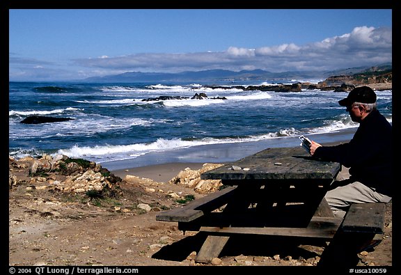 Man reading on a picnic table, Bean Hollow State Beach. San Mateo County, California, USA (color)