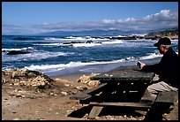 Man reading on a picnic table, Bean Hollow State Beach. San Mateo County, California, USA (color)