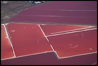 Aerial view of salt pond colorful patches. Redwood City,  California, USA ( color)