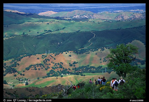 Group of Hikers descending slopes, Mt Diablo State Park. California, USA (color)