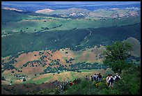 Group of Hikers descending slopes, Mt Diablo State Park. California, USA ( color)