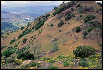 Group of Hikers on a distant trail, Mt Diablo State Park. California, USA