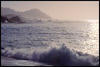 Surf on late afternoon. Carmel-by-the-Sea, California, USA ( color)