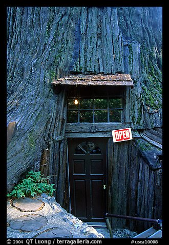 Entrance of the World Famous Tree House, near Leggett. California, USA (color)