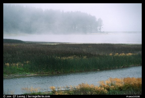 Humbolt Lagoon in the fog. California, USA (color)
