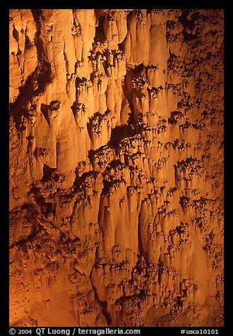 Rare cave formations, Mitchell caverns. Mojave National Preserve, California, USA