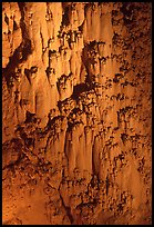 Rare cave formations, Mitchell caverns. Mojave National Preserve, California, USA (color)