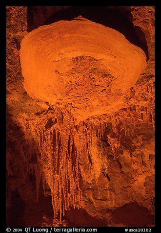 Rare parachute cave formations, Mitchell caverns. Mojave National Preserve, California, USA