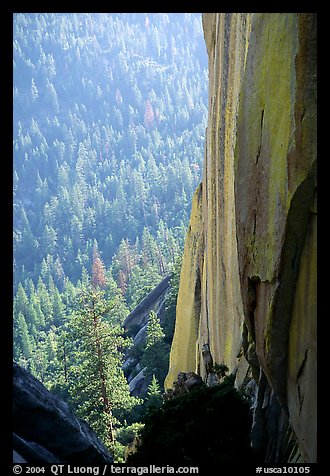 Granite spire, the Needles, Sequoia National Forest. California, USA
