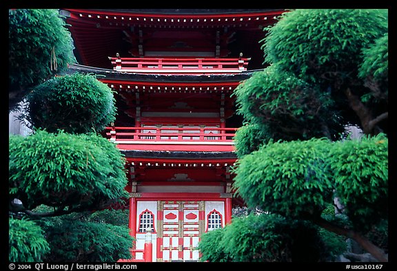 Pagoda in Japanese Garden. San Francisco, California, USA