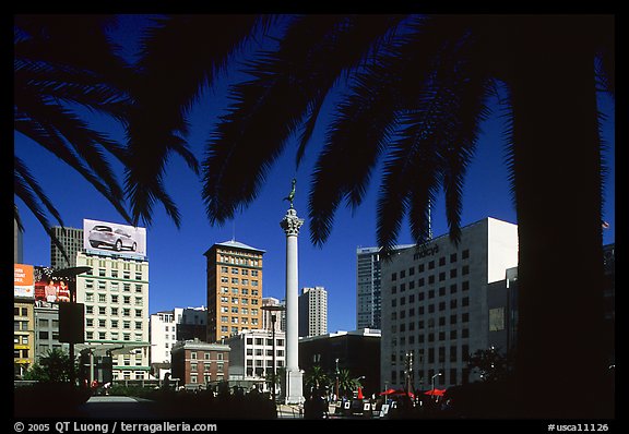 Union square framed by palm trees, afternoon. San Francisco, California, USA (color)