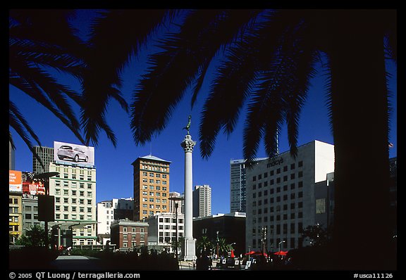 Union square framed by palm trees, afternoon. San Francisco, California, USA
