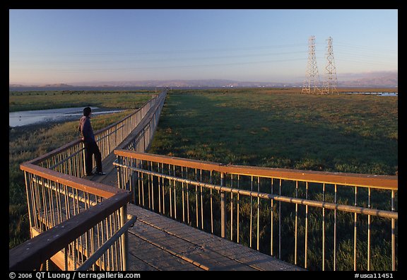 Man standing on boardwalk, Palo Alto Baylands. Palo Alto,  California, USA (color)