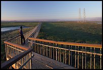 Man standing on boardwalk, Palo Alto Baylands. Palo Alto,  California, USA ( color)