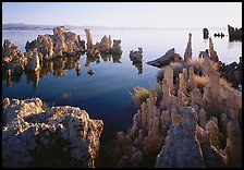 Tufa formations, South Tufa area, early morning. Mono Lake, California, USA (color)