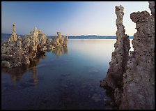 Tufa spires and Mono Lake at dusk. Mono Lake, California, USA ( color)