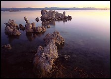 Tufa rock on south shore at sunrise. Mono Lake, California, USA (color)