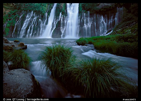 Grasses, stream and wide waterfall, Burney Falls State Park. California, USA