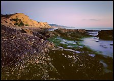 Mussels and Cliffs, Sculptured Beach, sunset. Point Reyes National Seashore, California, USA