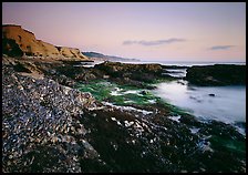 Mussel-covered rocks, seaweed and cliffs, sunset. California, USA ( color)