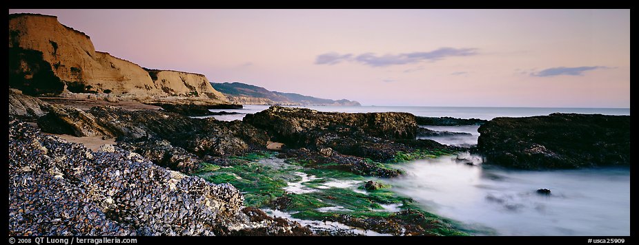 Seashore and cliffs. Point Reyes National Seashore, California, USA (color)