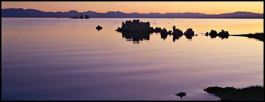 Color gradient on Mono Lake at sunrise. Mono Lake, California, USA (Panoramic color)