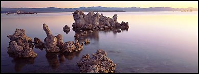 Lake sunrise with Tufa pinnacles. Mono Lake, California, USA (Panoramic color)