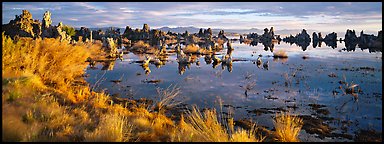 Mono Lake landscape. Mono Lake, California, USA (Panoramic color)