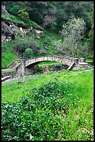 Stone bridge, Alum Rock Park. San Jose, California, USA