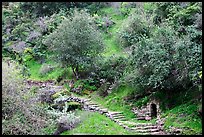 Pathway and stairs, Alum Rock Park. San Jose, California, USA