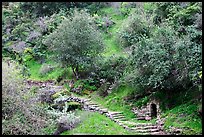 Pathway and stairs, Alum Rock Park. San Jose, California, USA (color)