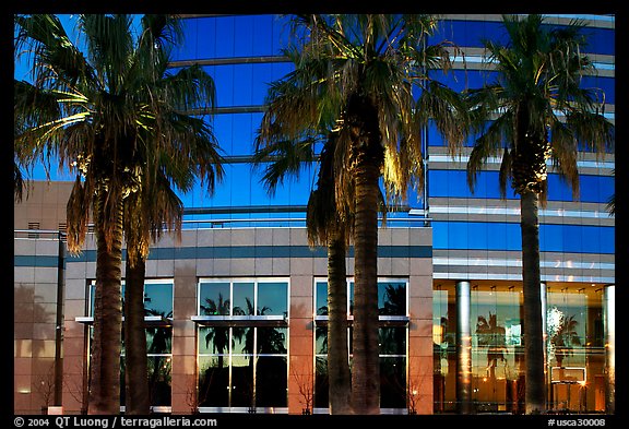 Palm trees reflected in building at sunset. San Jose, California, USA (color)