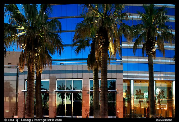 Palm trees reflected in building at sunset. San Jose, California, USA