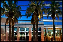 Palm trees reflected in building at sunset. San Jose, California, USA (color)