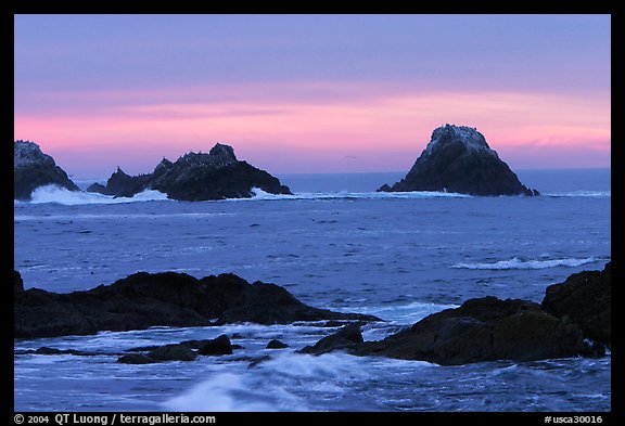 Seastacks at sunset. Point Lobos State Preserve, California, USA
