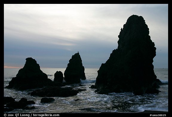 Seastacks, Rodeo Beach, afternoon. California, USA