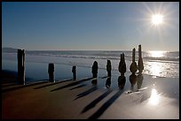 Row of wood pilars and sun near Fort Funston,  late afternoon, San Francisco. San Francisco, California, USA (color)