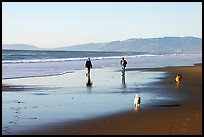 People and dogs strolling on beach near Fort Funston,  late afternoon, San Francisco. San Francisco, California, USA (color)