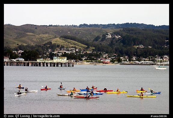 Sea kayakers, Pillar point harbor. Half Moon Bay, California, USA (color)