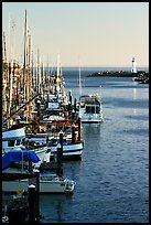 Harbor,  late afternoon. Santa Cruz, California, USA