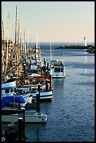 Harbor,  late afternoon. Santa Cruz, California, USA (color)