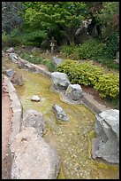 Stream, Japanese Friendship Garden. San Jose, California, USA (color)